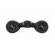 Nikon ACULON T02 10x21 binoculars