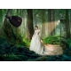 Jinbei HD-400 TTL PRO akkukäyttöinen studiosalamalaite