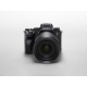 Sony a1