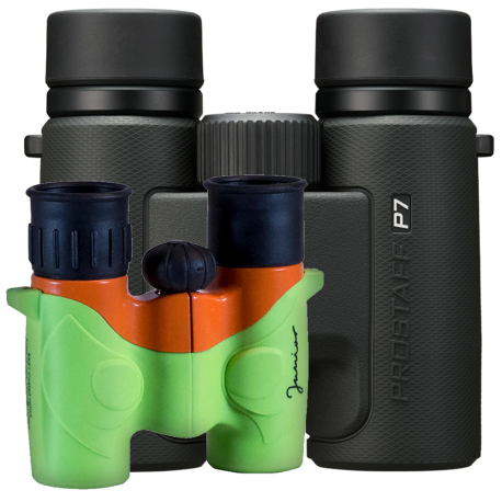 Binocular family kit Nikon PROSTAFF P7 10x30 + Focus Junior 6x21 binoculars