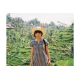 Lomography Color Negative 120 ISO 400 3 pack