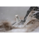 Sony FE 400-800mm F6.3-8 G OSS lens
