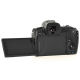 Canon EOS R Camera Body - Used
