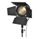 Fresnel Light - Used