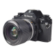 Nikon EM + Series E 36-72mm f/3.5