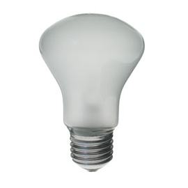 Elinchrom 196V 100W E27 modeling light bulb